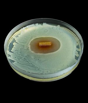 طلاء HydroShield™ HydroShield™ Coating